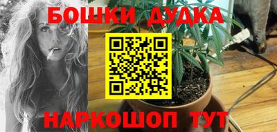 Альфа ПВП Лесосибирск